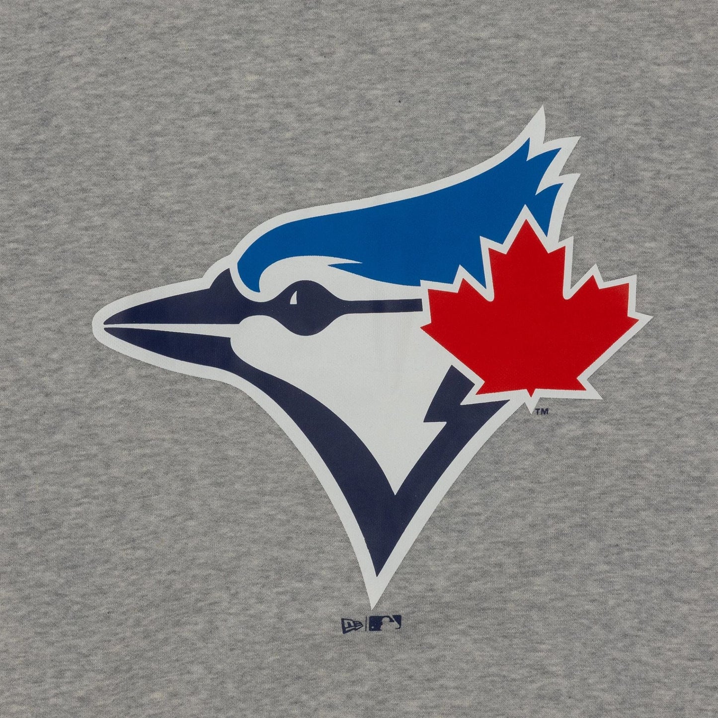 The Male model is wearing Toronto Blue Jays MLB Regular Grey Pullover Hoodie 3