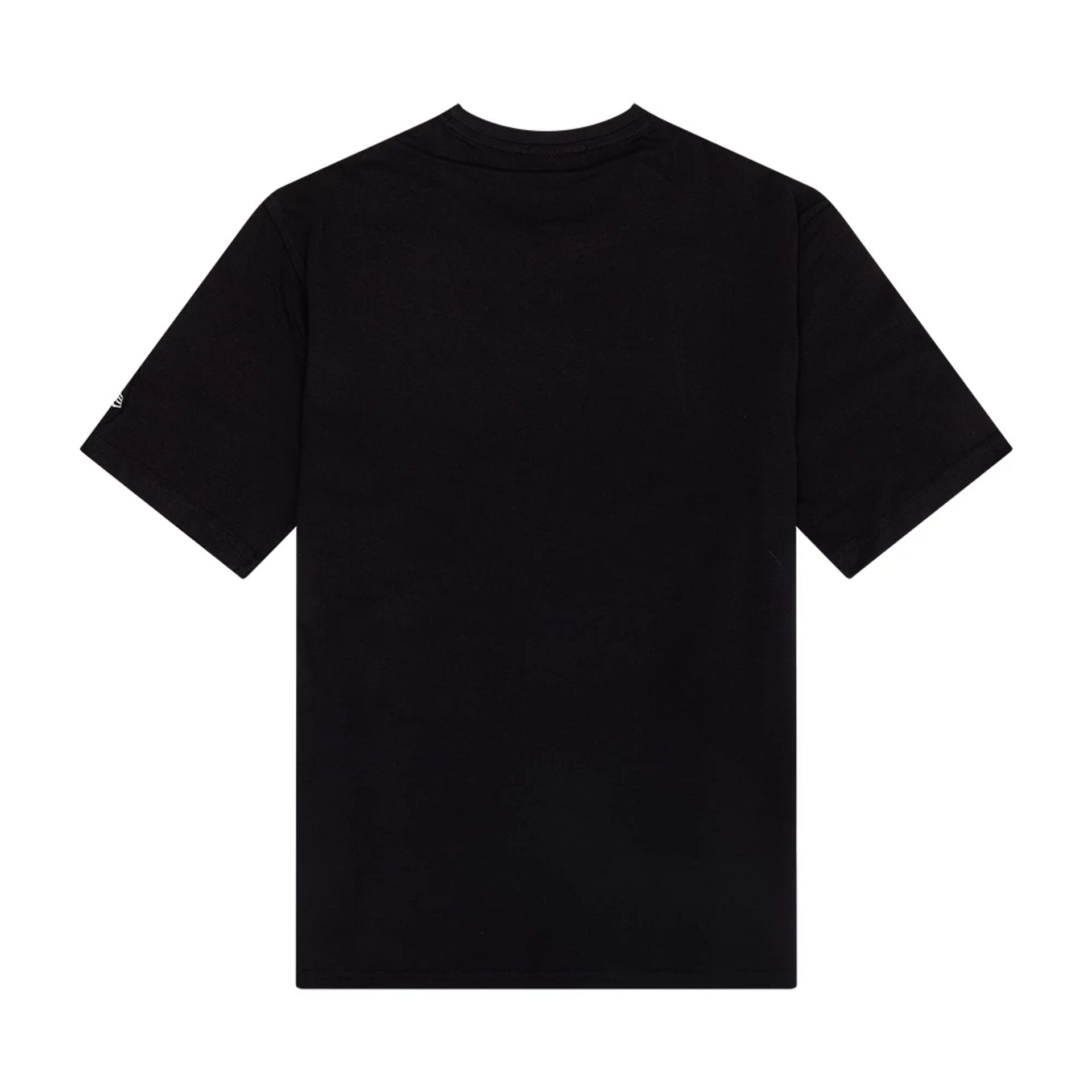 The Male model is wearing Chicago Bulls NBA Outline Graphic Black T-Shirt 2