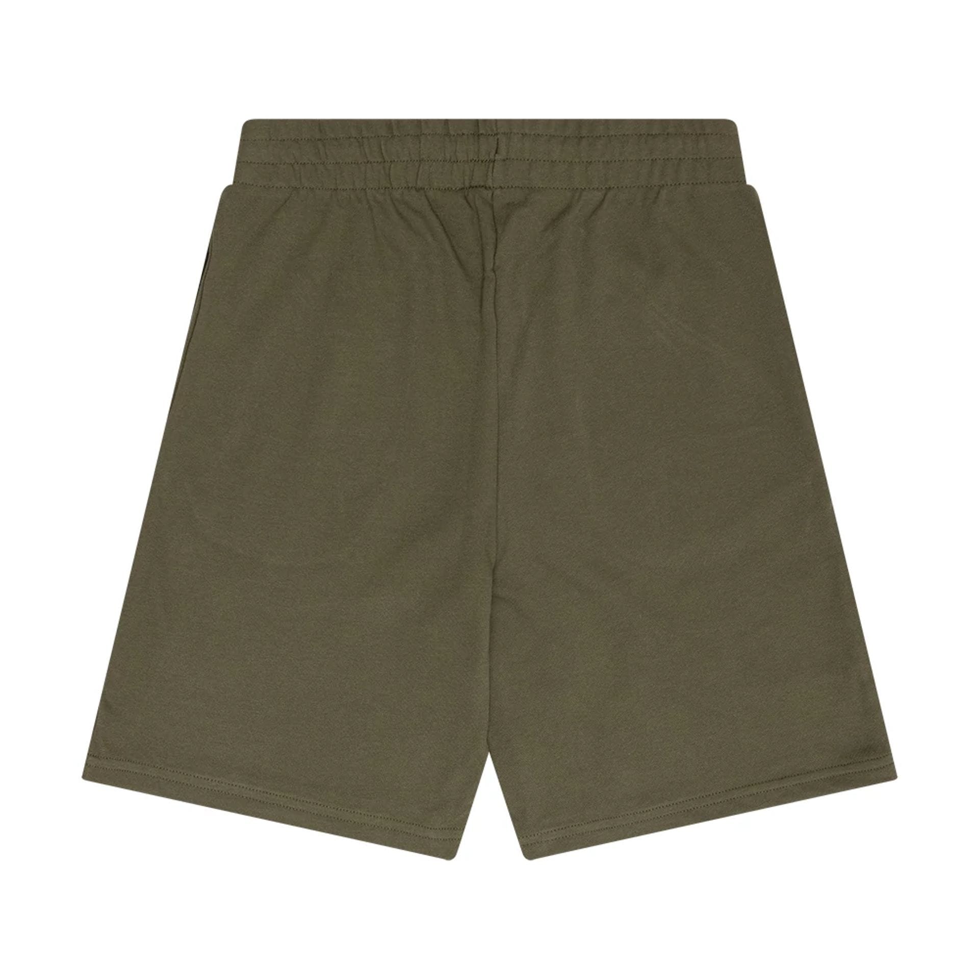 The Male model is wearing New Era Flag Green Shorts 2