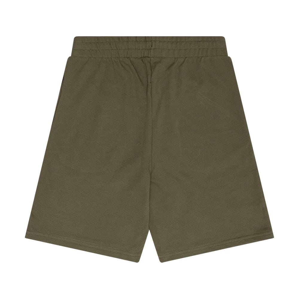 The Male model is wearing New Era Flag Green Shorts 2