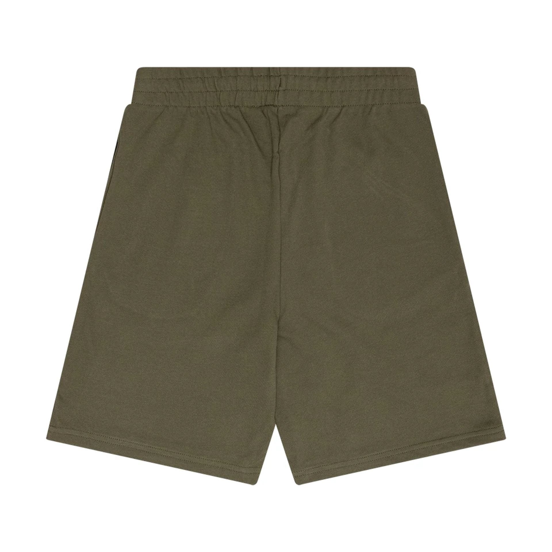 The Male model is wearing New Era Flag Green Shorts 1