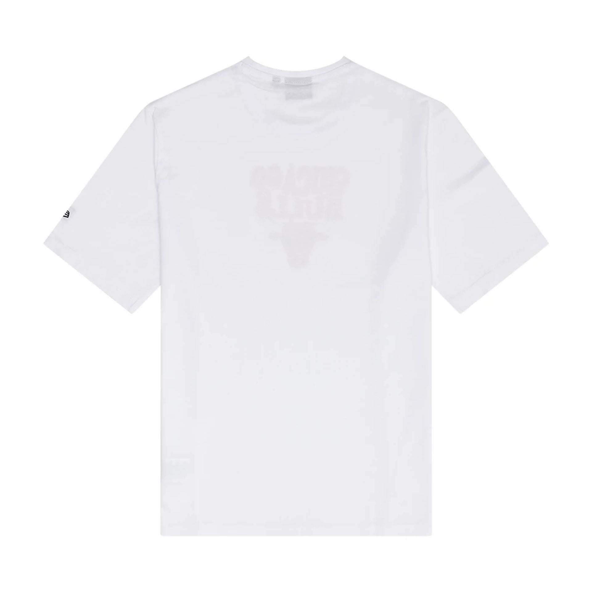 The Male model is wearing Chicago Bulls NBA Graphic White T-Shirt 2