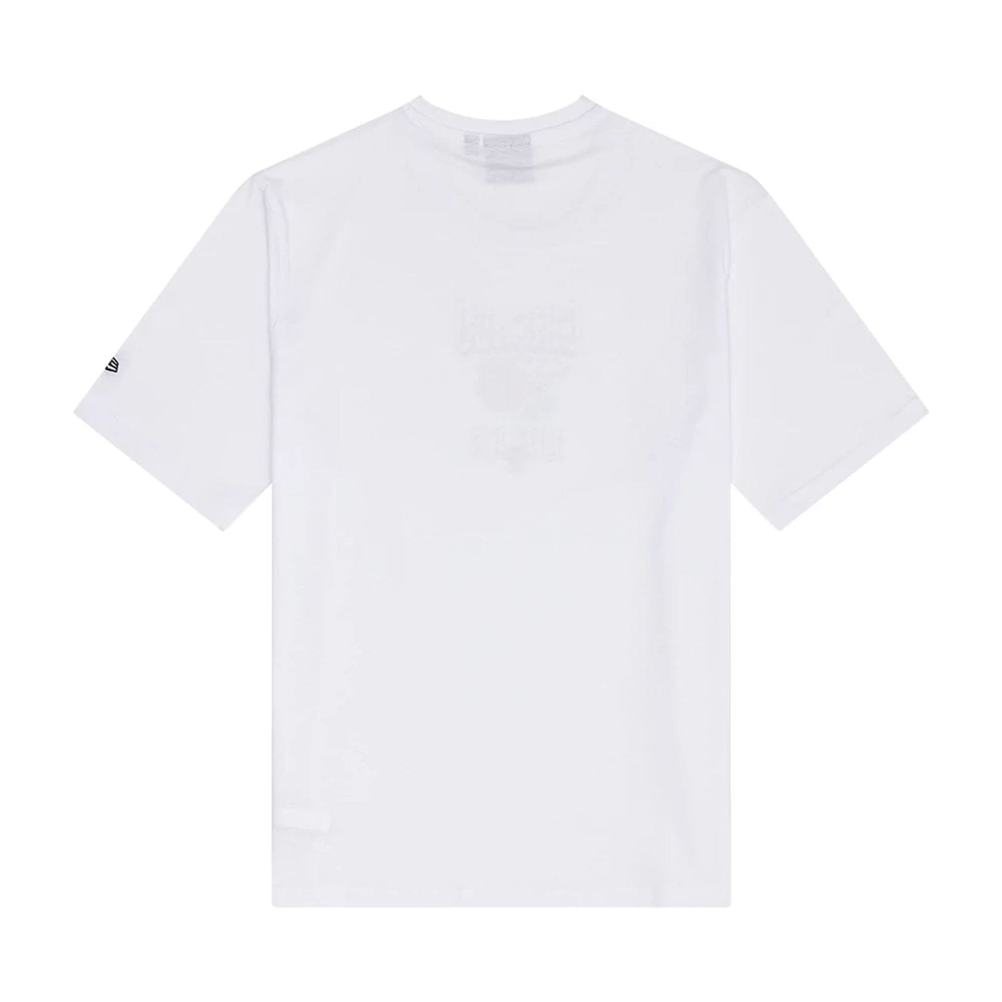 The Male model is wearing Chicago Bulls NBA Graphic White T-Shirt 2