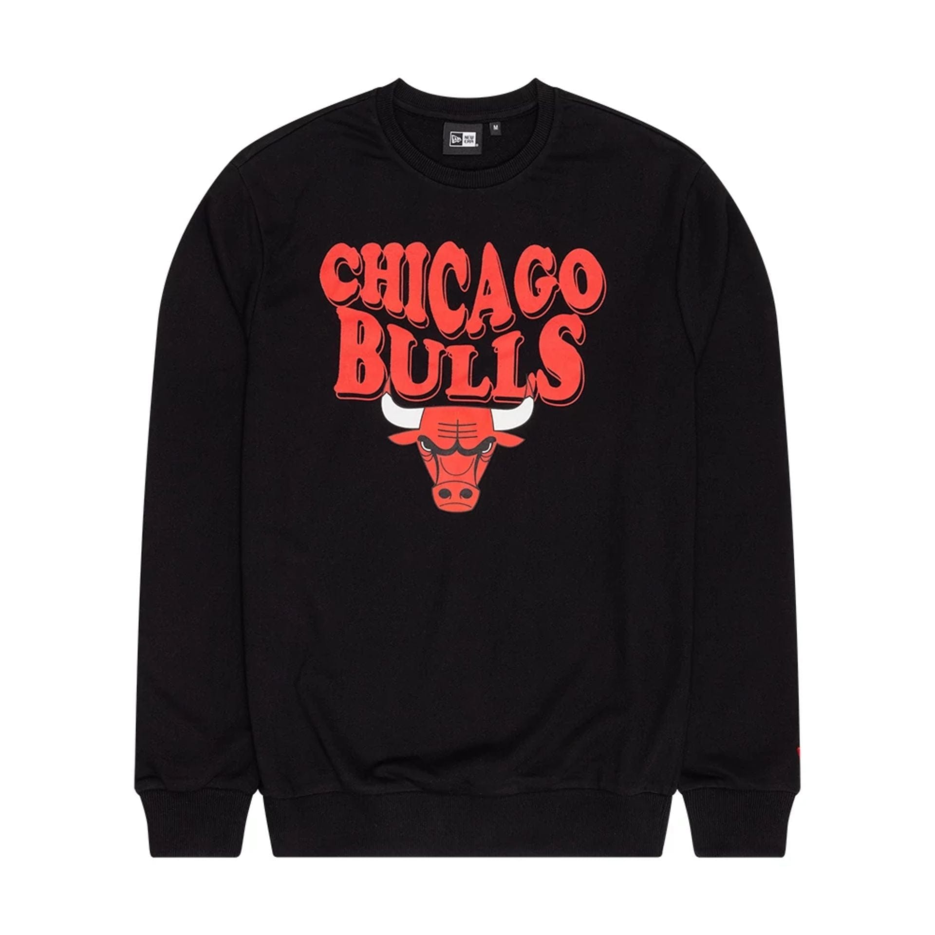 The Male model is wearing Chicago Bulls NBA Wordmark Black Crew Neck Sweater 1