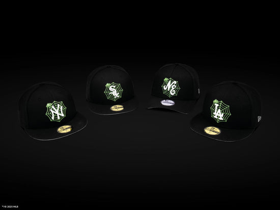 Slide 3:ENTER THE WEB