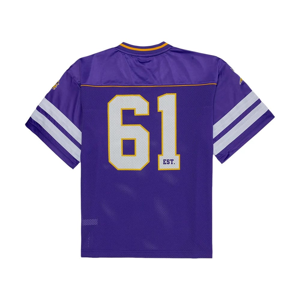 The model is wearing this NFL Minnesota Vikings Mesh Jersey in purple. 6