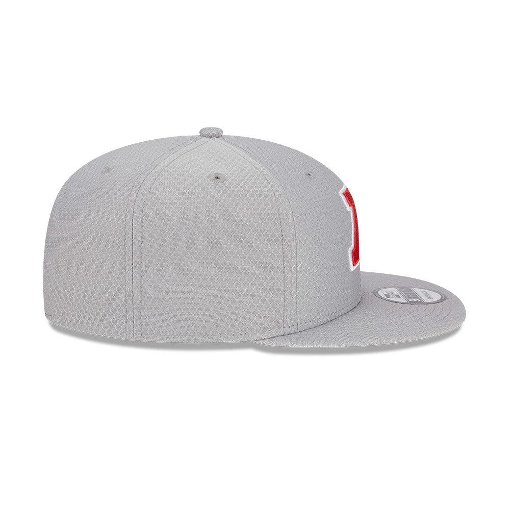 Pictured is this NFL Pro Bowl 2025 AFC Logo 9FIFTY Snapback Adjustable cap in grey. 5
