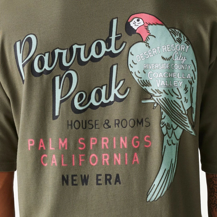 The Male model is wearing New Era Animal Graphic Green Oversized T-Shirt 4