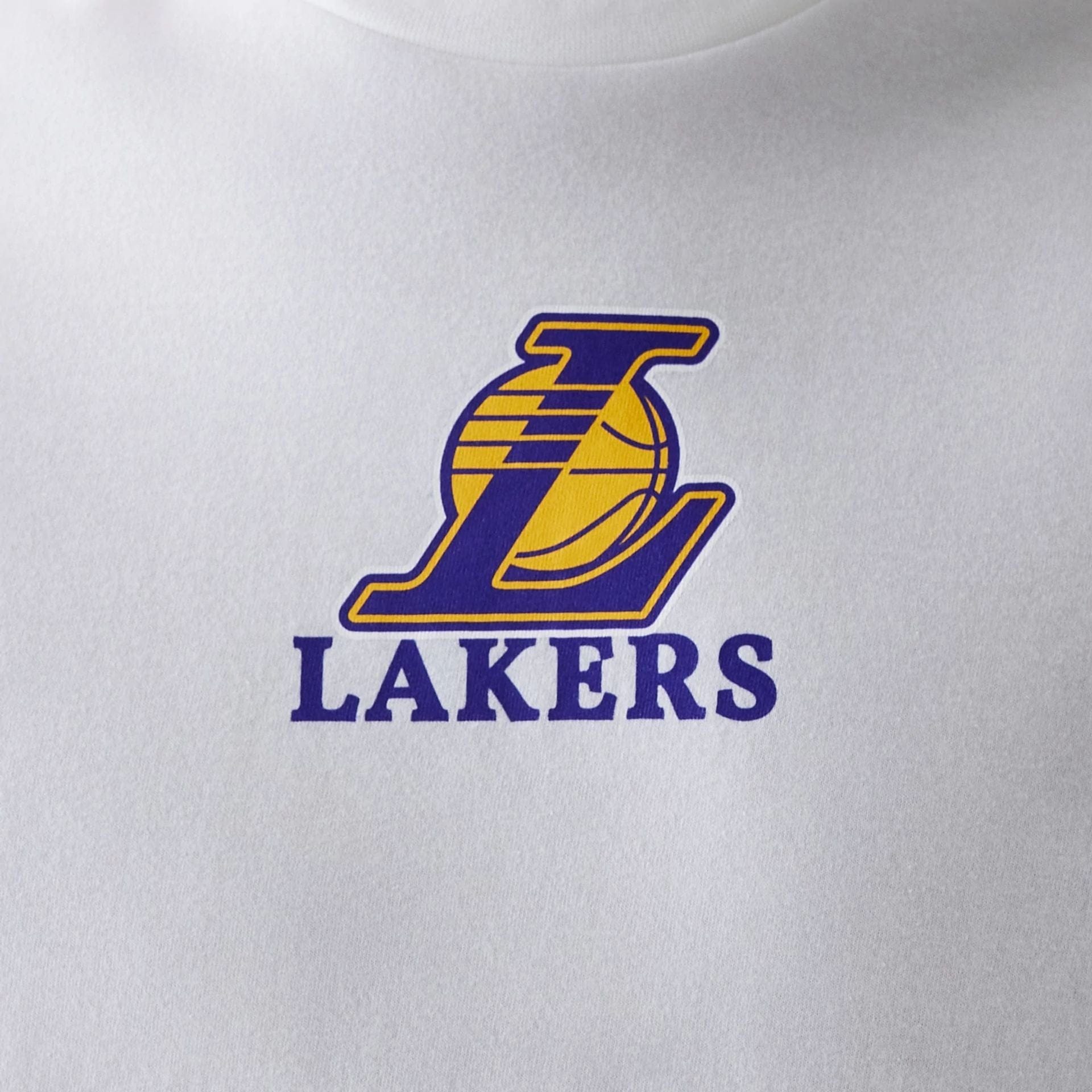 The Male model is wearing LA Lakers NBA Logo White T-Shirt 4