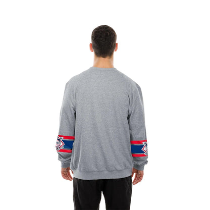 The model is wearing this MLB Sport Classic LA Dodgers Crew Neck Sweater in grey. 2