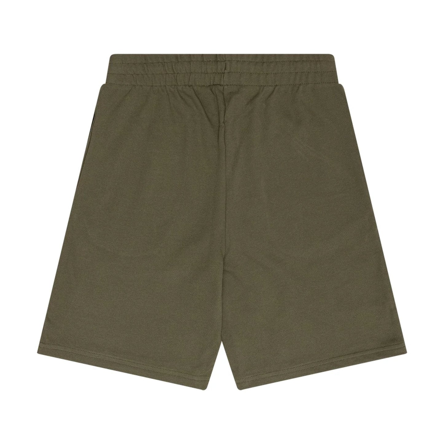 The Male model is wearing New Era Flag Green Shorts 1