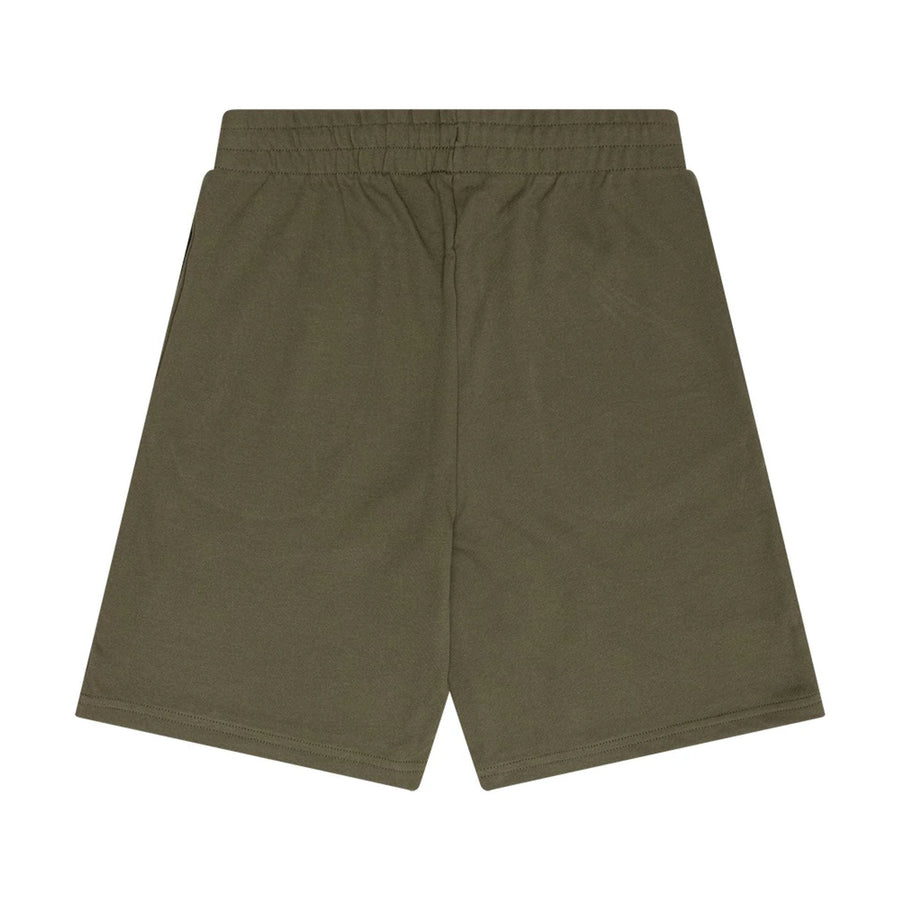 The Male model is wearing New Era Flag Green Shorts 1