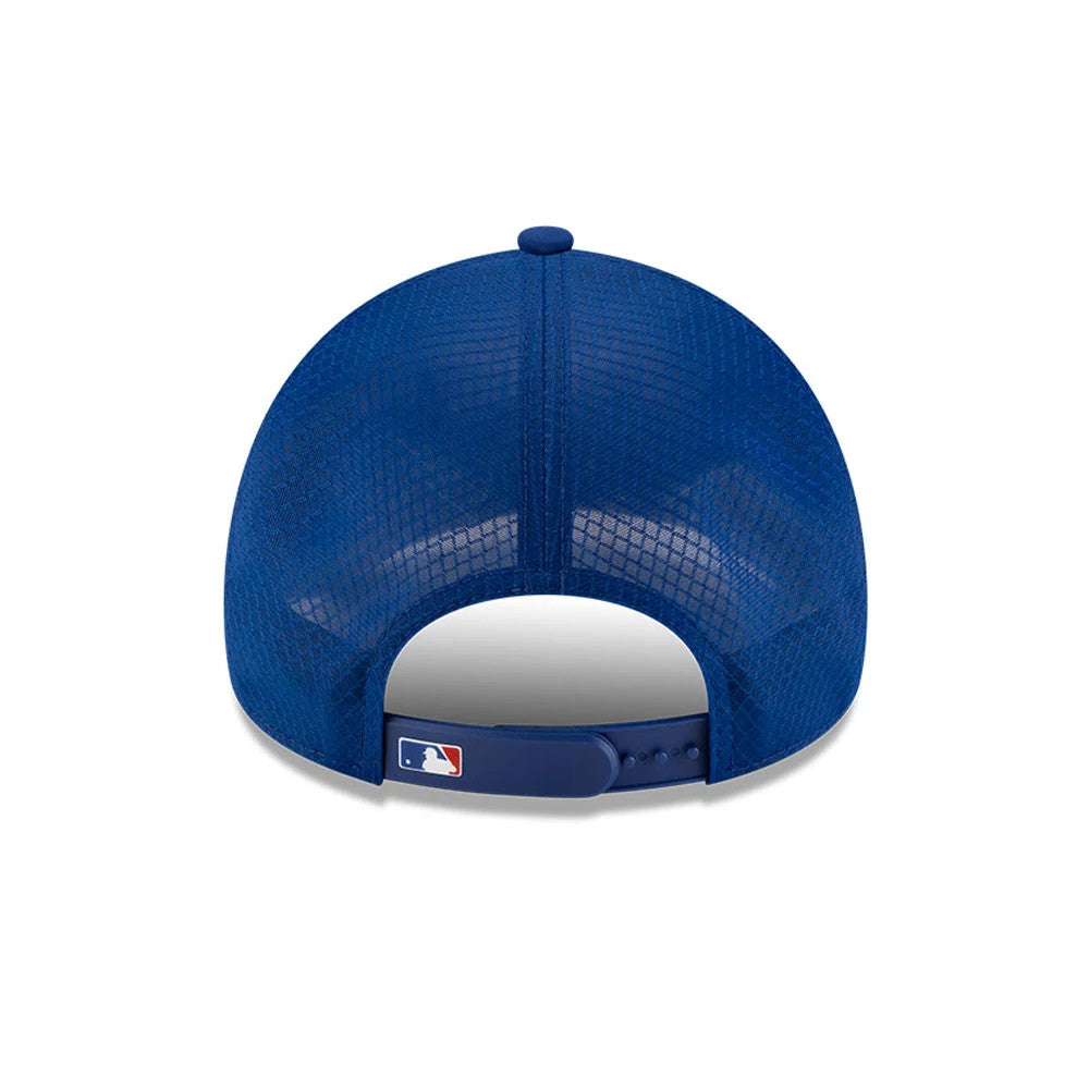 Pictured is this MLB Batting Practice 2026 Chicago Cubs 9FORTY Apex cap in blue. 4