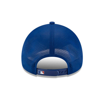 Pictured is this MLB Batting Practice 2026 Chicago Cubs 9FORTY Apex cap in blue. 4