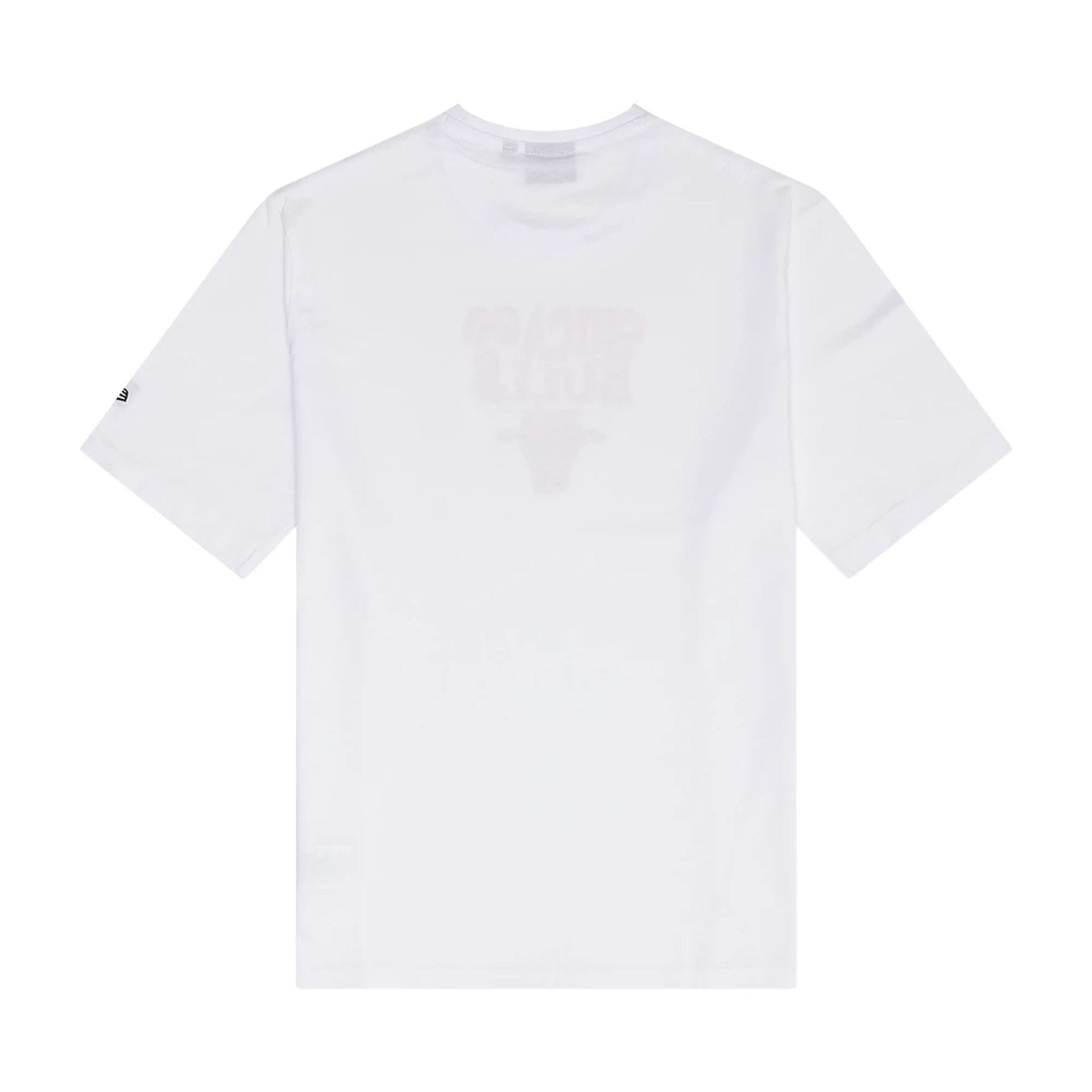 The Male model is wearing Chicago Bulls NBA Graphic White T-Shirt 2