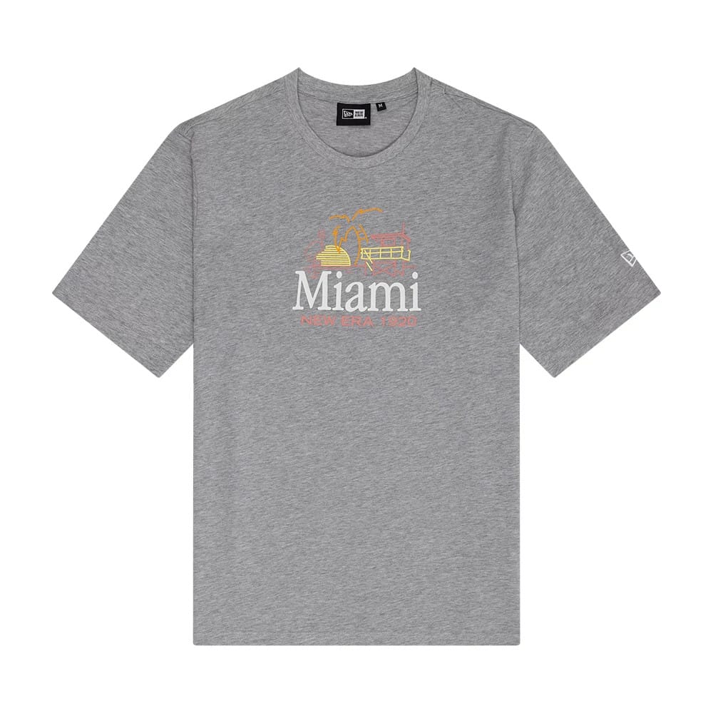 The Male model is wearing New Era Miami City Grey T-Shirt 1