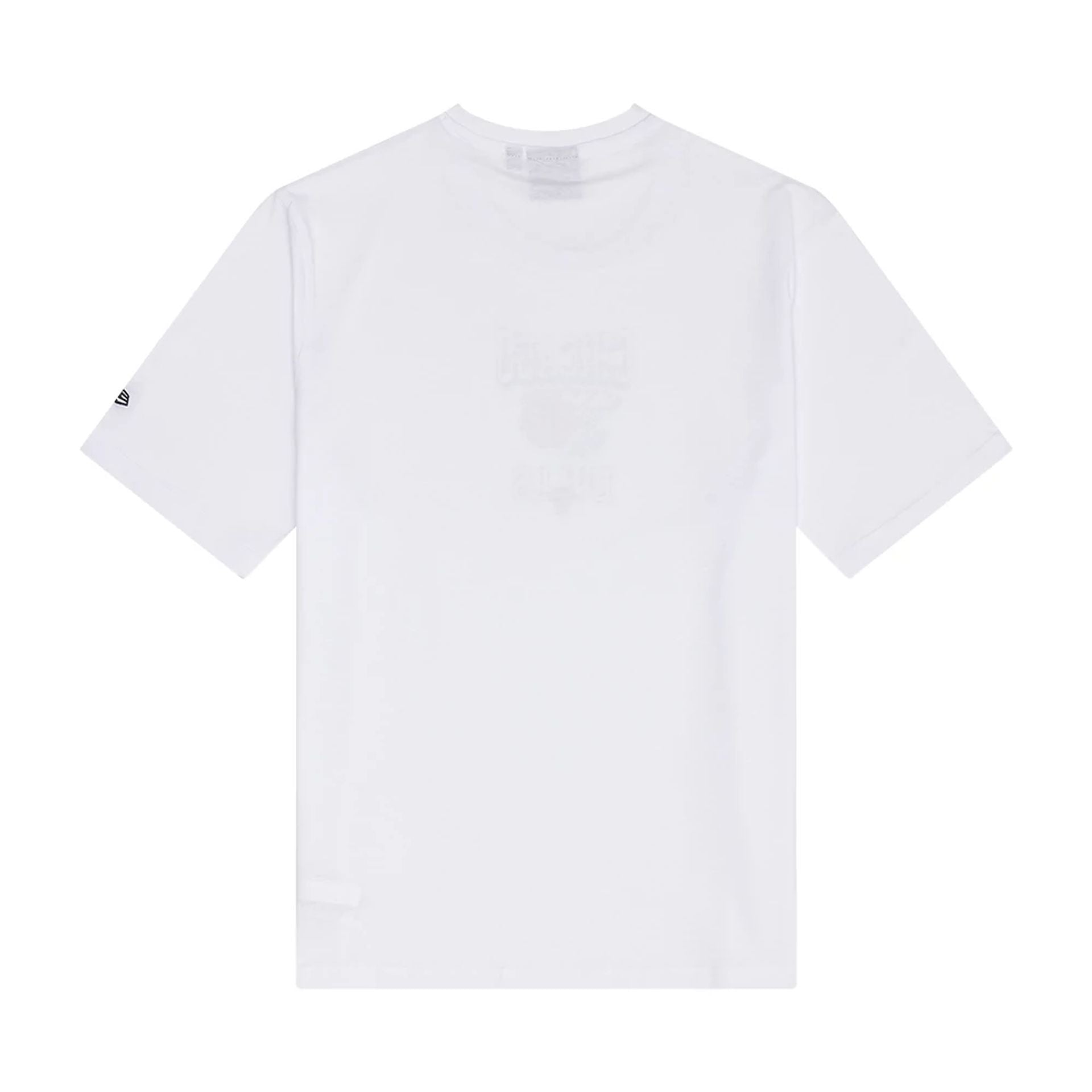 The Male model is wearing Chicago Bulls NBA Graphic White T-Shirt 2