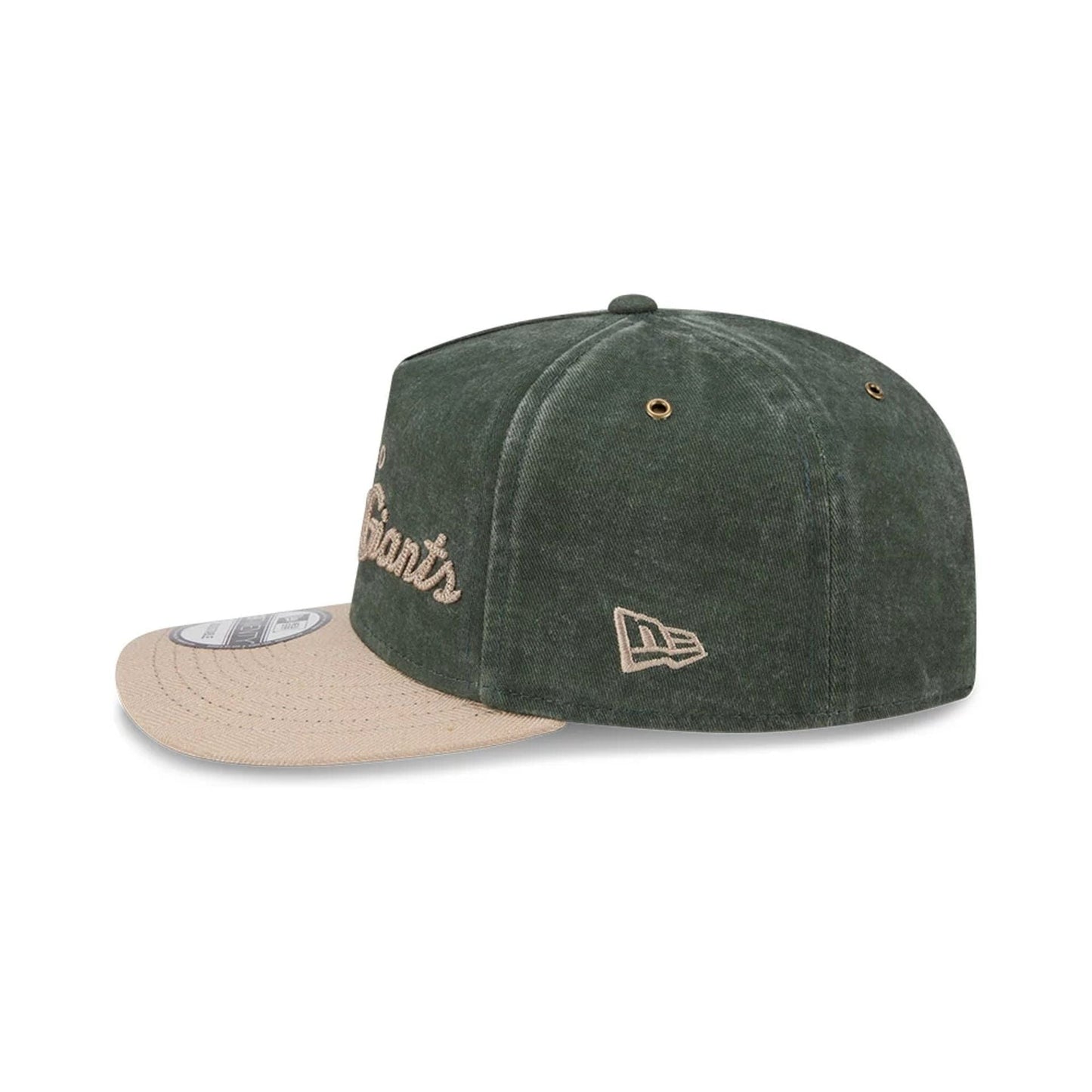 Pictured is this MLB Negro League Chicago American Giants 19TWENTY cap in dark green. 6