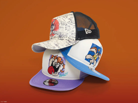 Slide 2:THE LOONEY TUNES IN ACTION